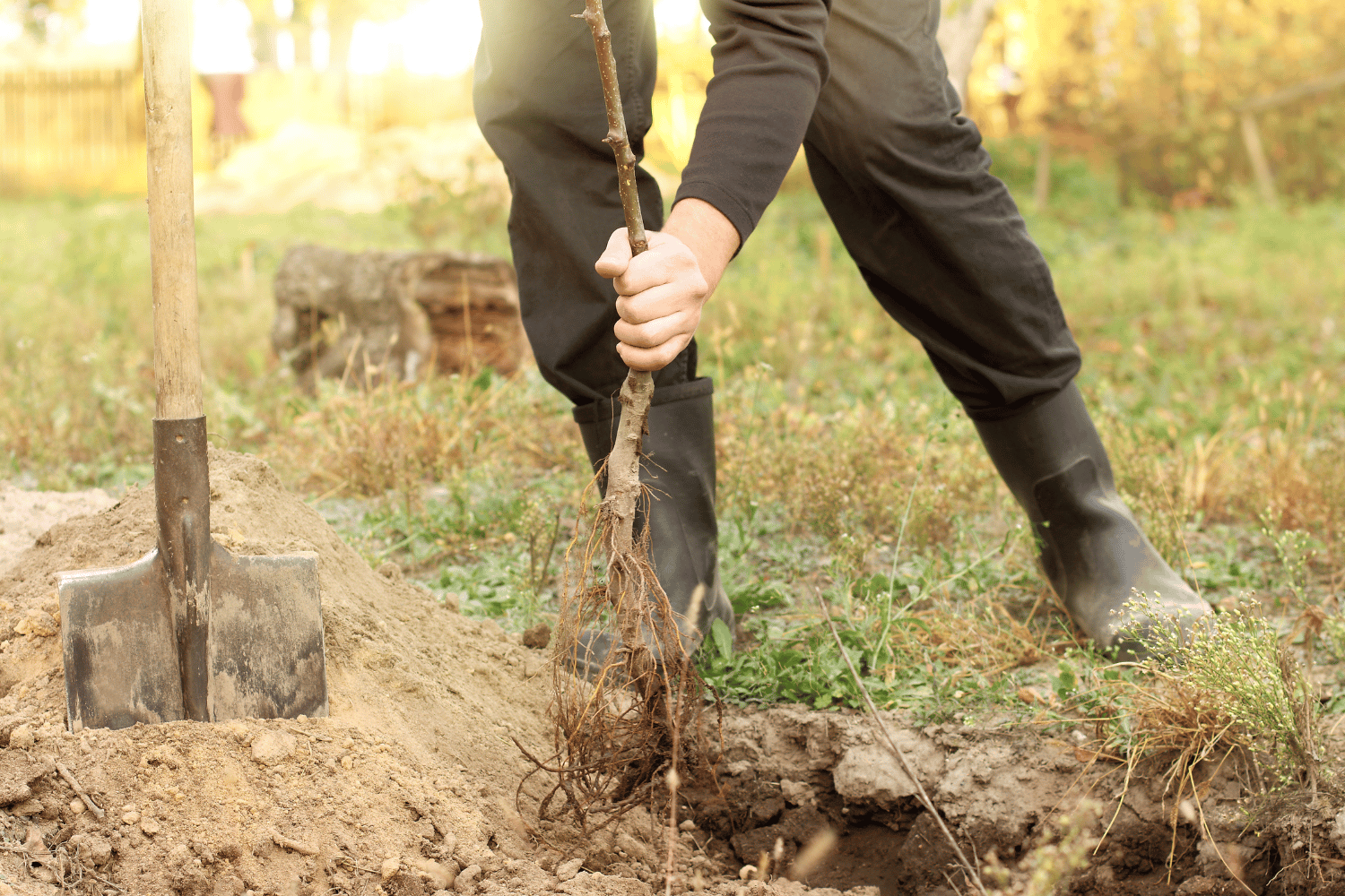 Jardin : quels tarifs pour la taxe d'aménagement en 2023