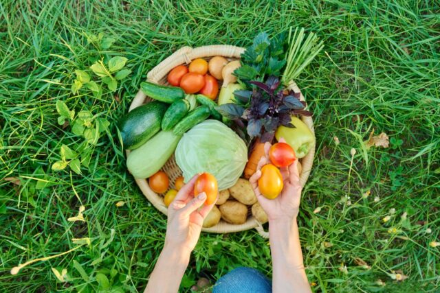 taxe potager récoltes imposables