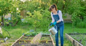 plantation légumes mars