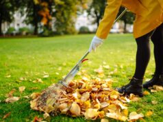 législation ramassage feuilles